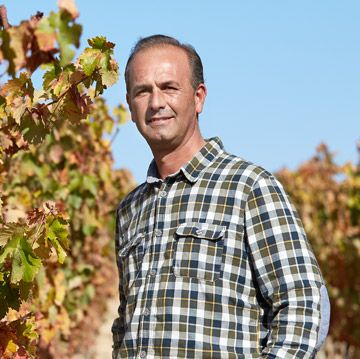 responsable de viticultura del equipo humano de el coto rioja