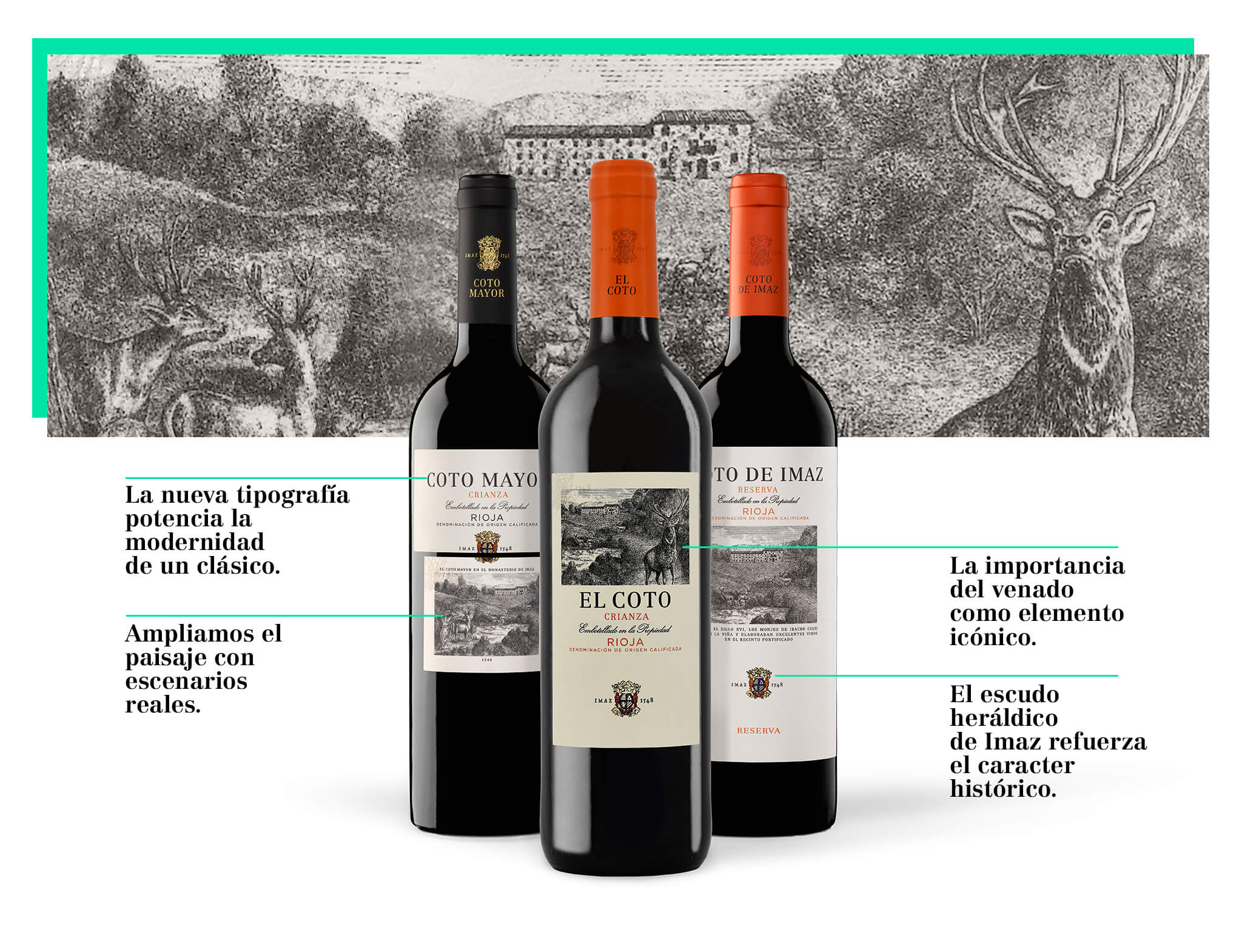 botellas-vino