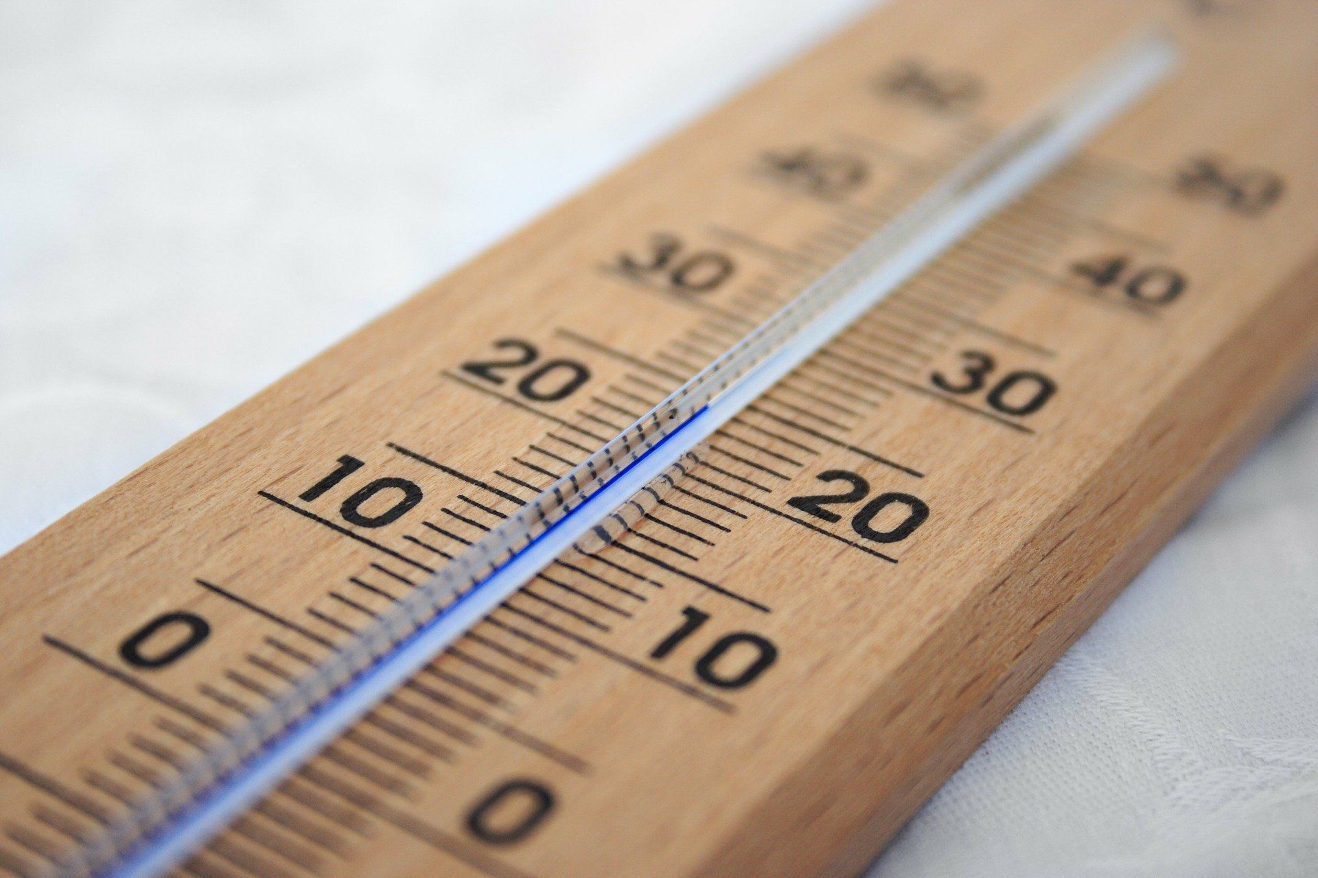 Temperatura guardar vino