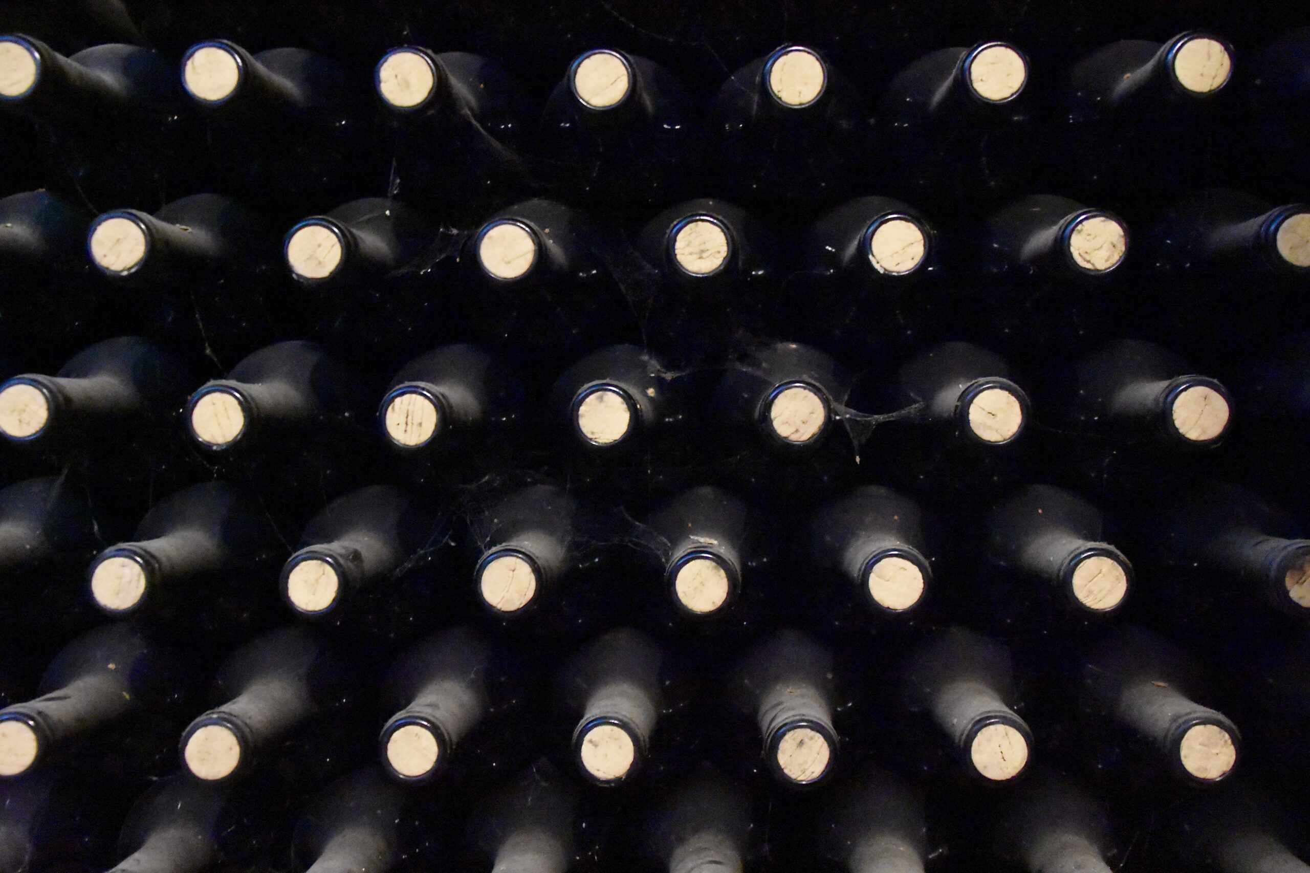 Cuánto dura el vino sin abrir