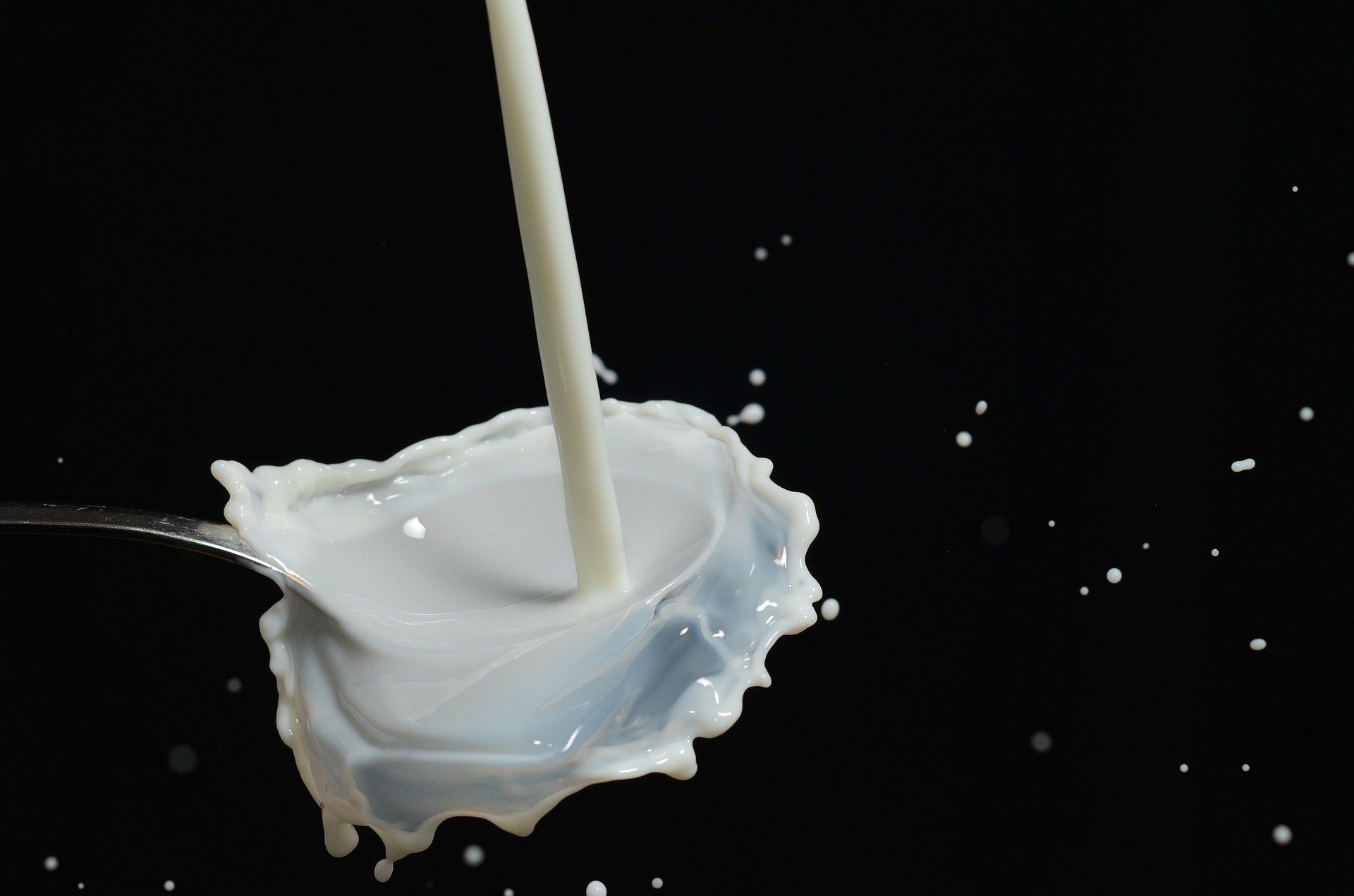 Quitar manchas vino tinto con leche