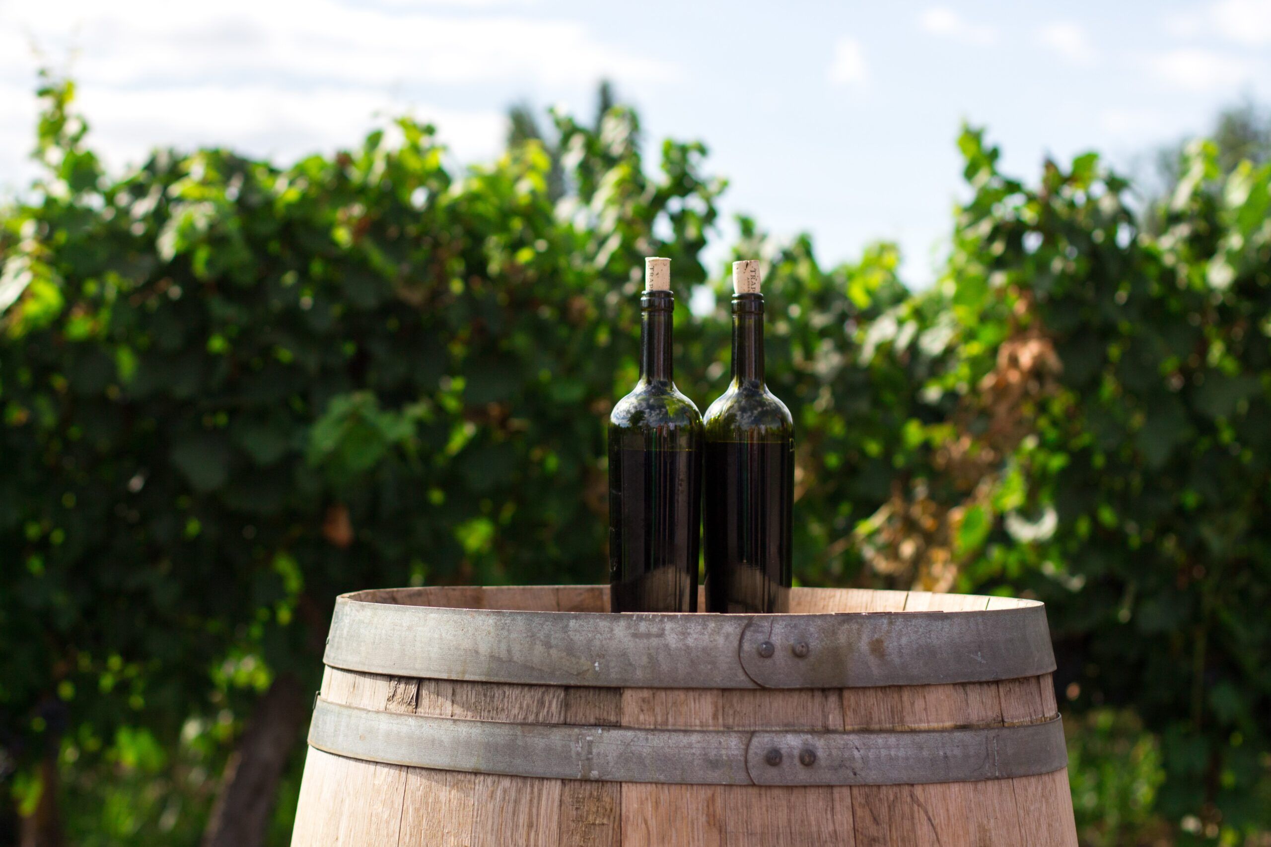 Qué-es-Doca-en-un-vino