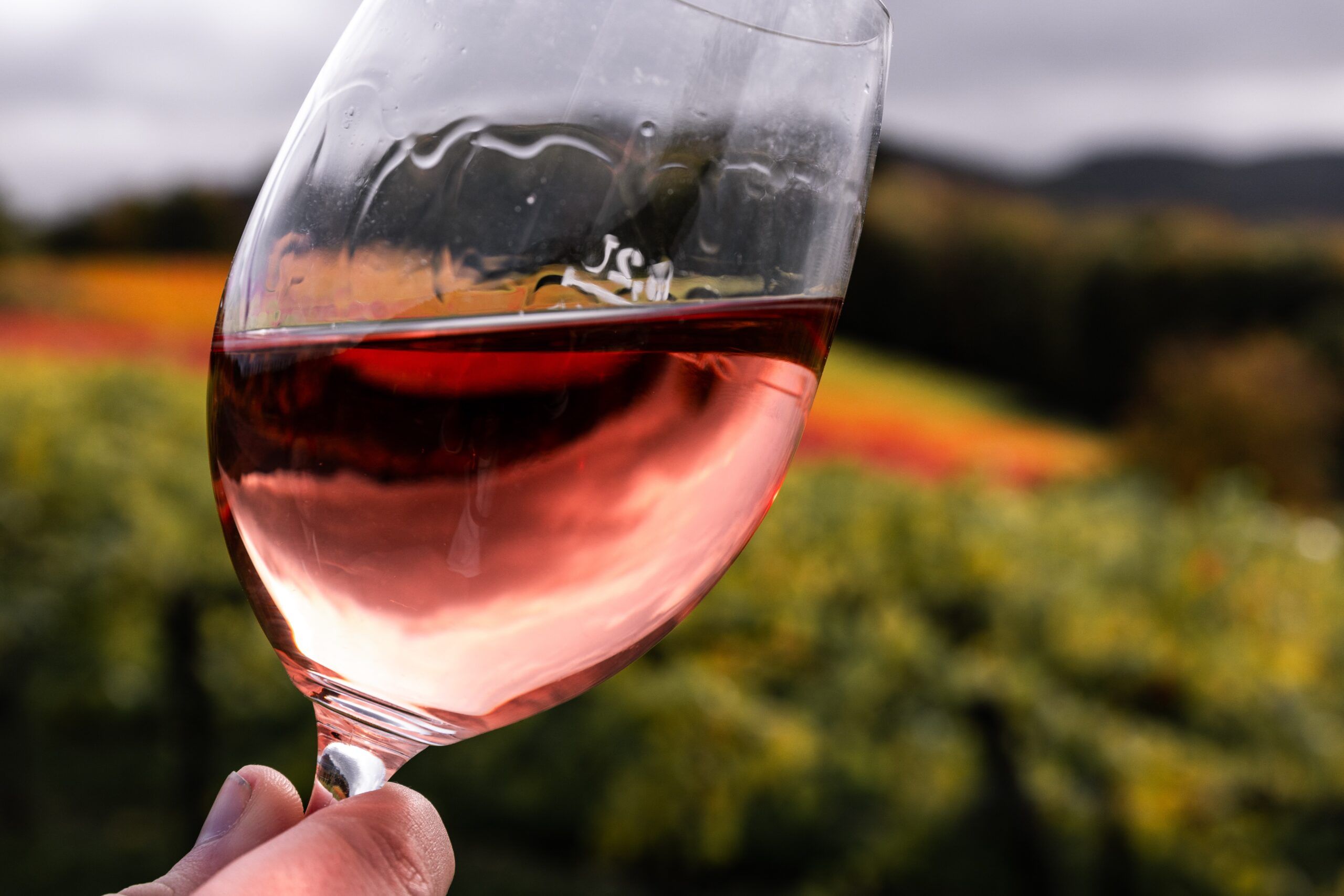 Qué significa DO y DOP en vino