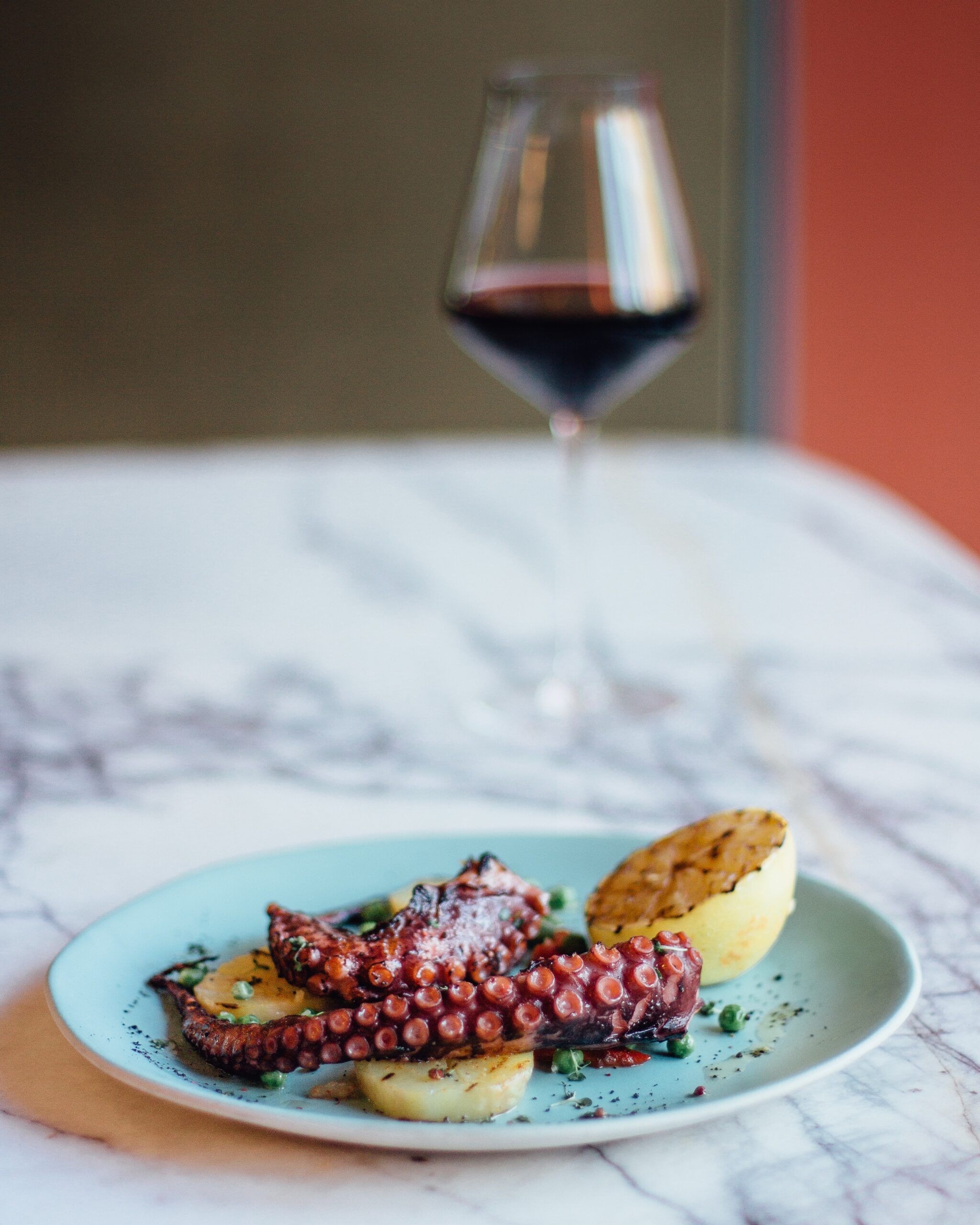Pulpo a la brasa maridado con vino rioja