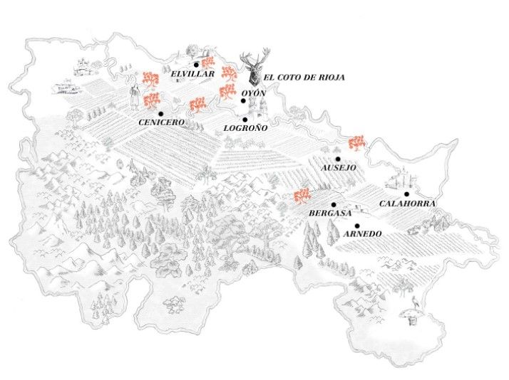 viñedos de vinos de rioja propios