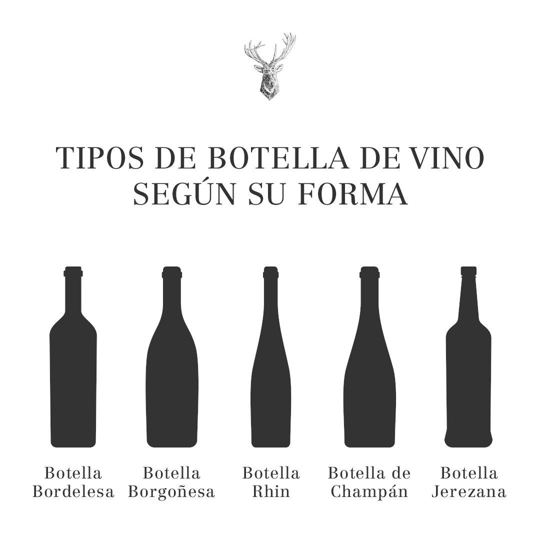 Labor trompeta cosa Tipos de botellas de vino por forma y tamaño - El Coto de Rioja