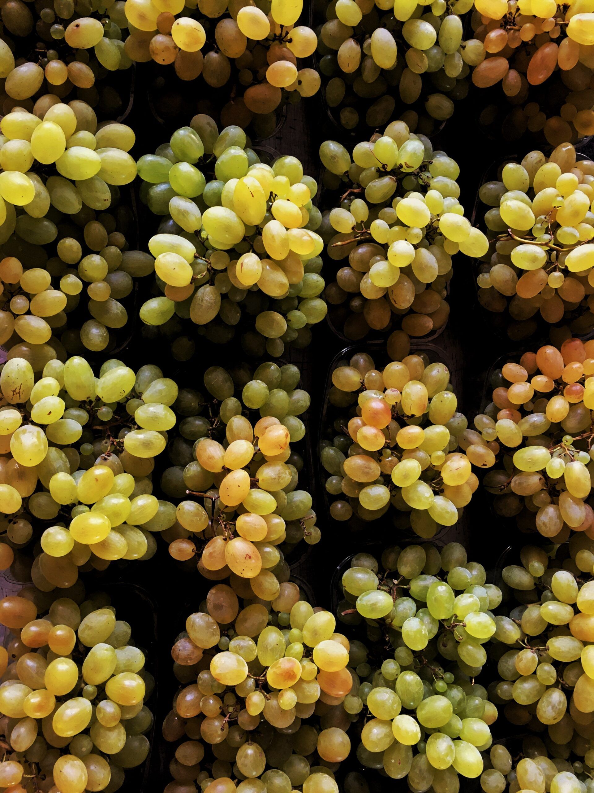 Tipos de uvas blancas España