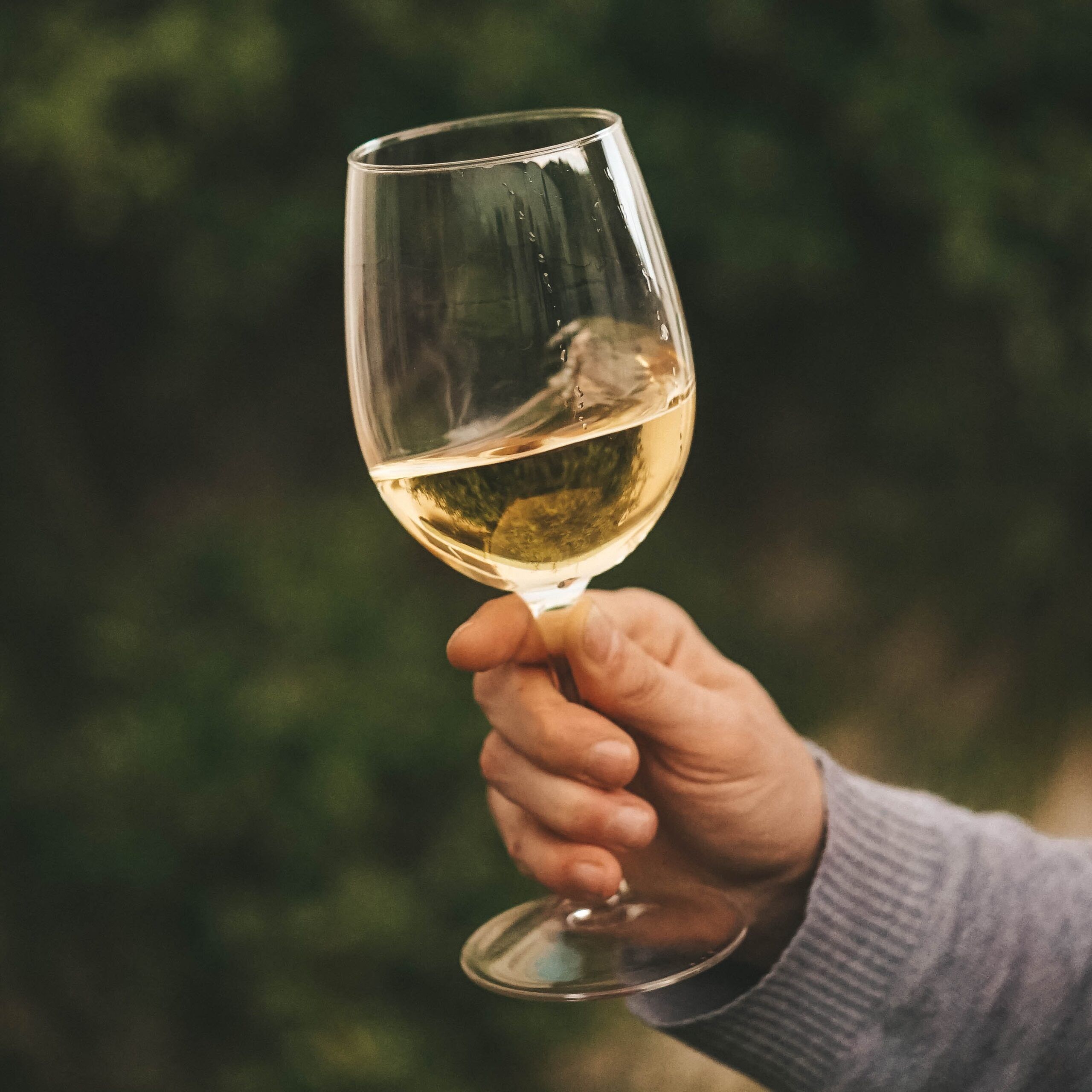Mitos vino blanco se toma frio
