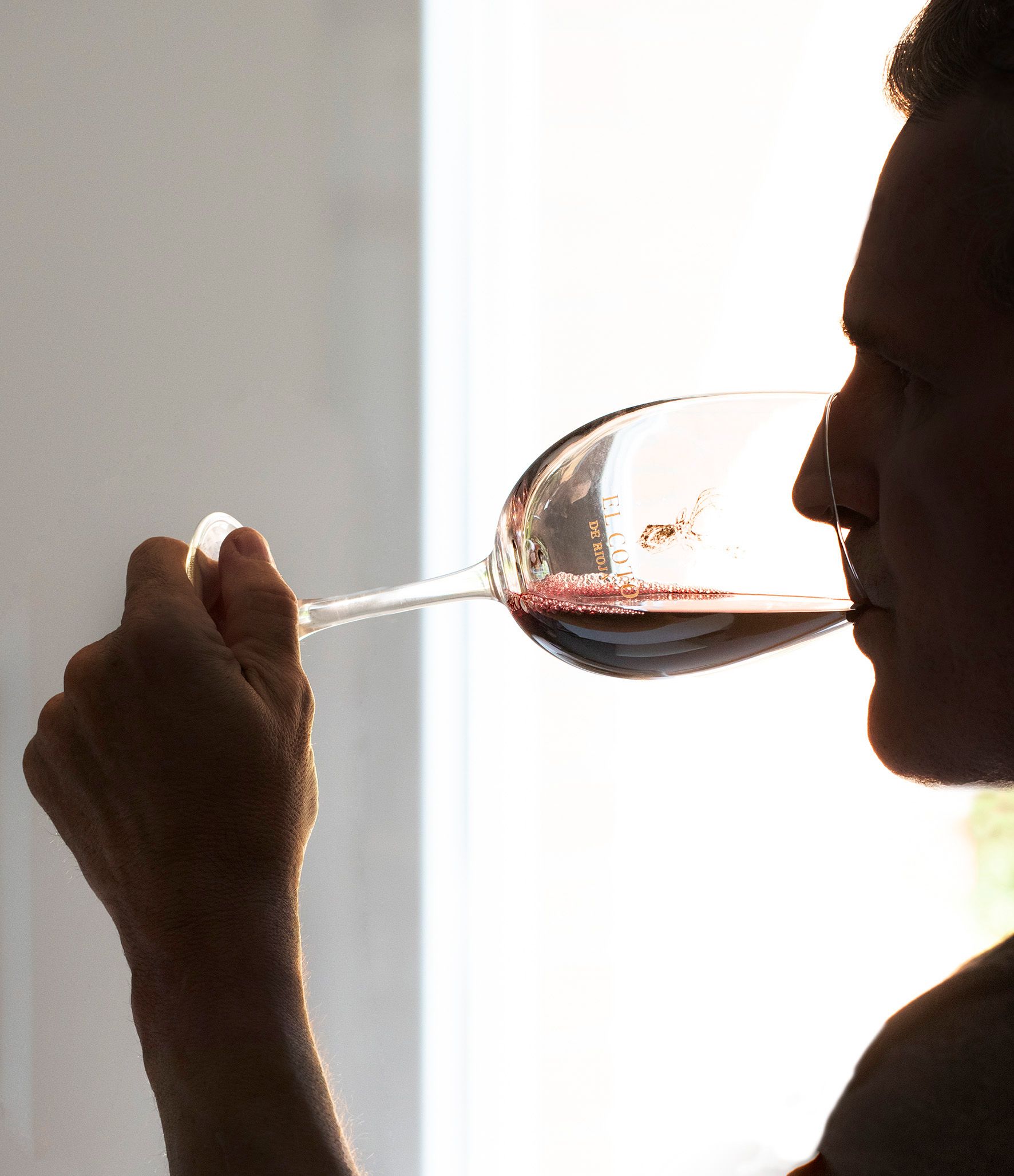 Por qué oler los vinos