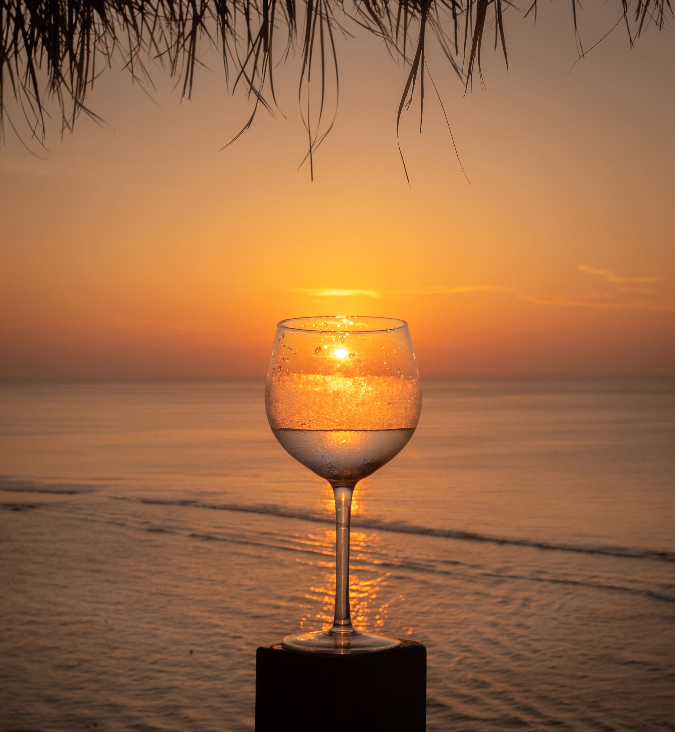 vino blanco para tomar en la playa