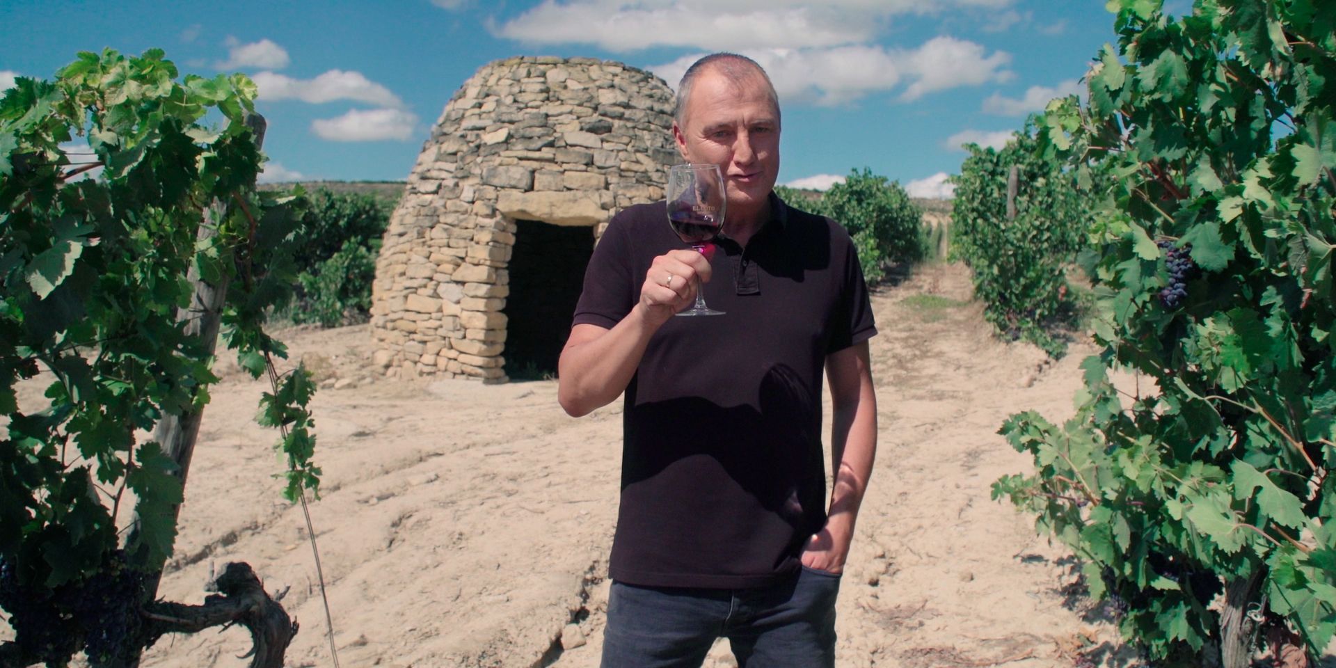 Cómo encontrar el sabor del vino