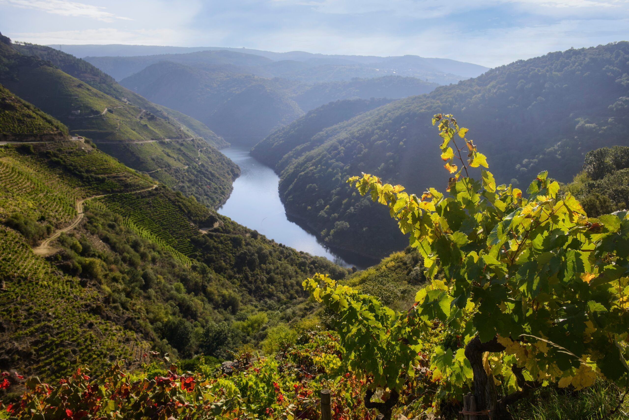 Festival Ribeira Sacra
