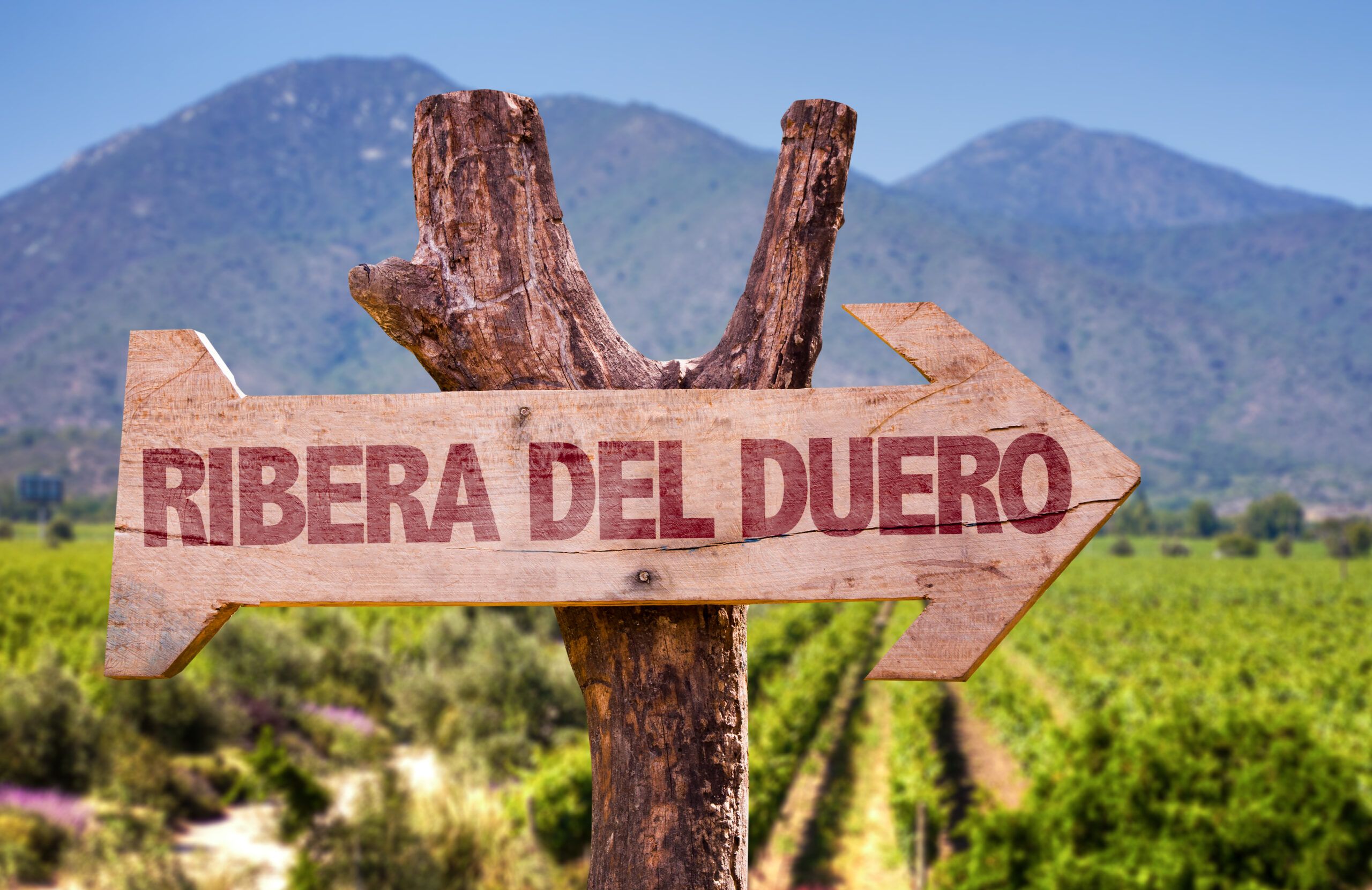 Ribera del Duero festivales