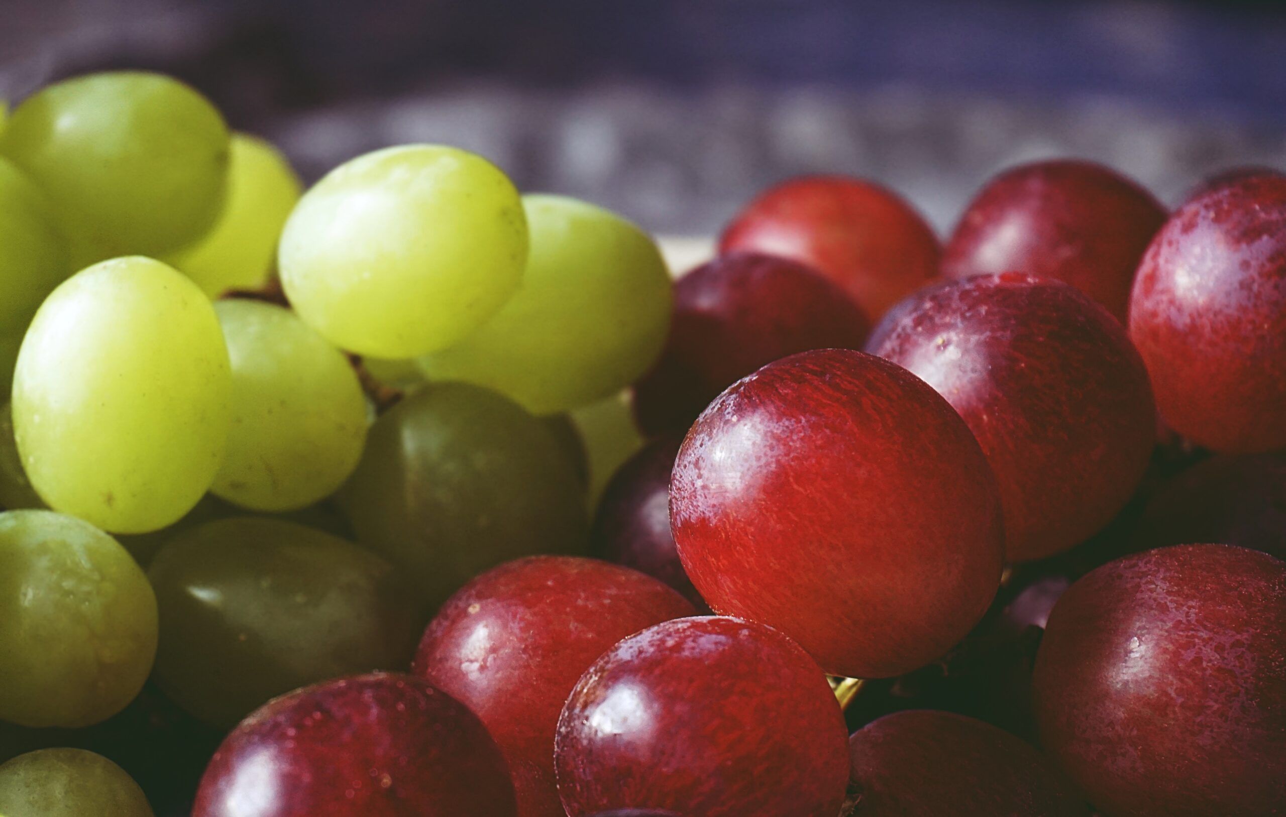 Diferencias entre uvas de mesa y uvas de vino