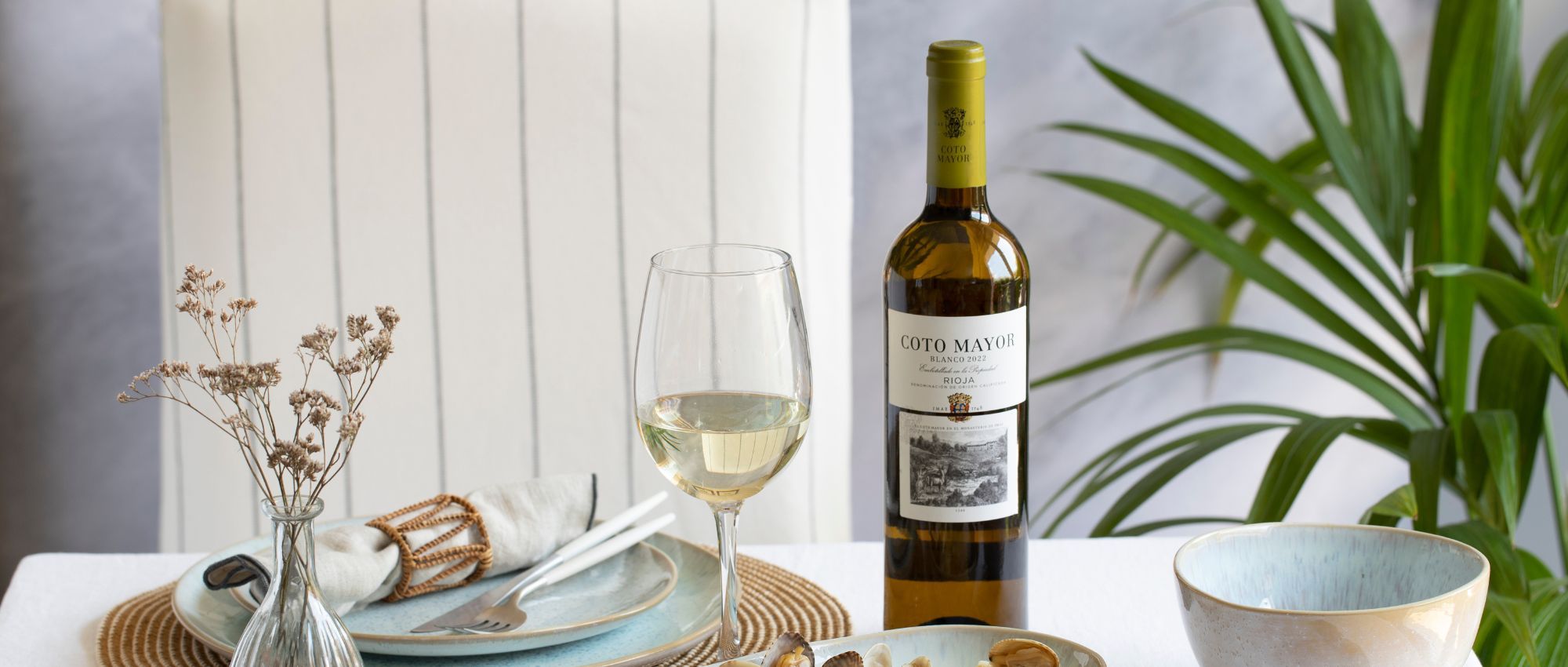 ¿Qué tipo de vino es el Sauvignon Blanc?