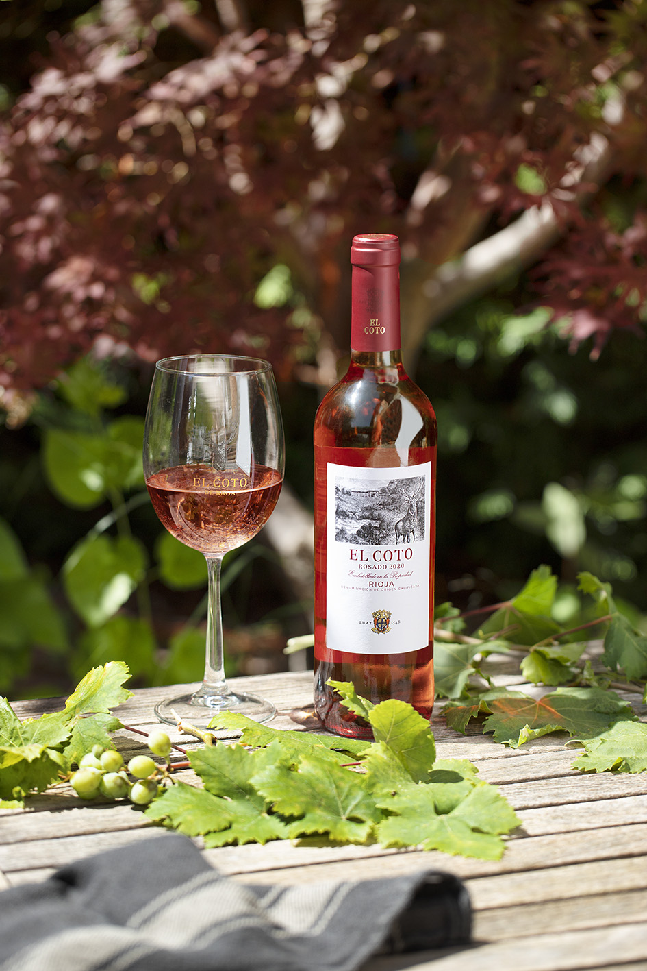 ¿Cuál es el mejor vino para principiantes?