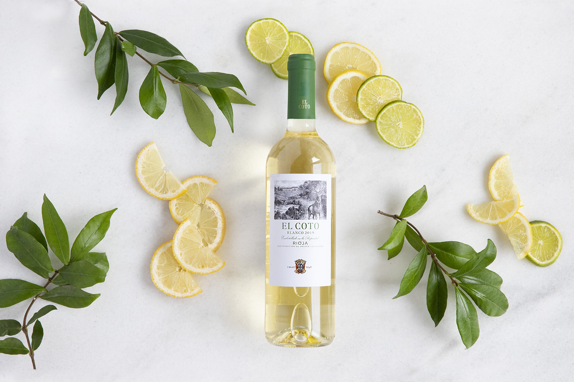 ¿Cuál es el mejor vino para principiantes?