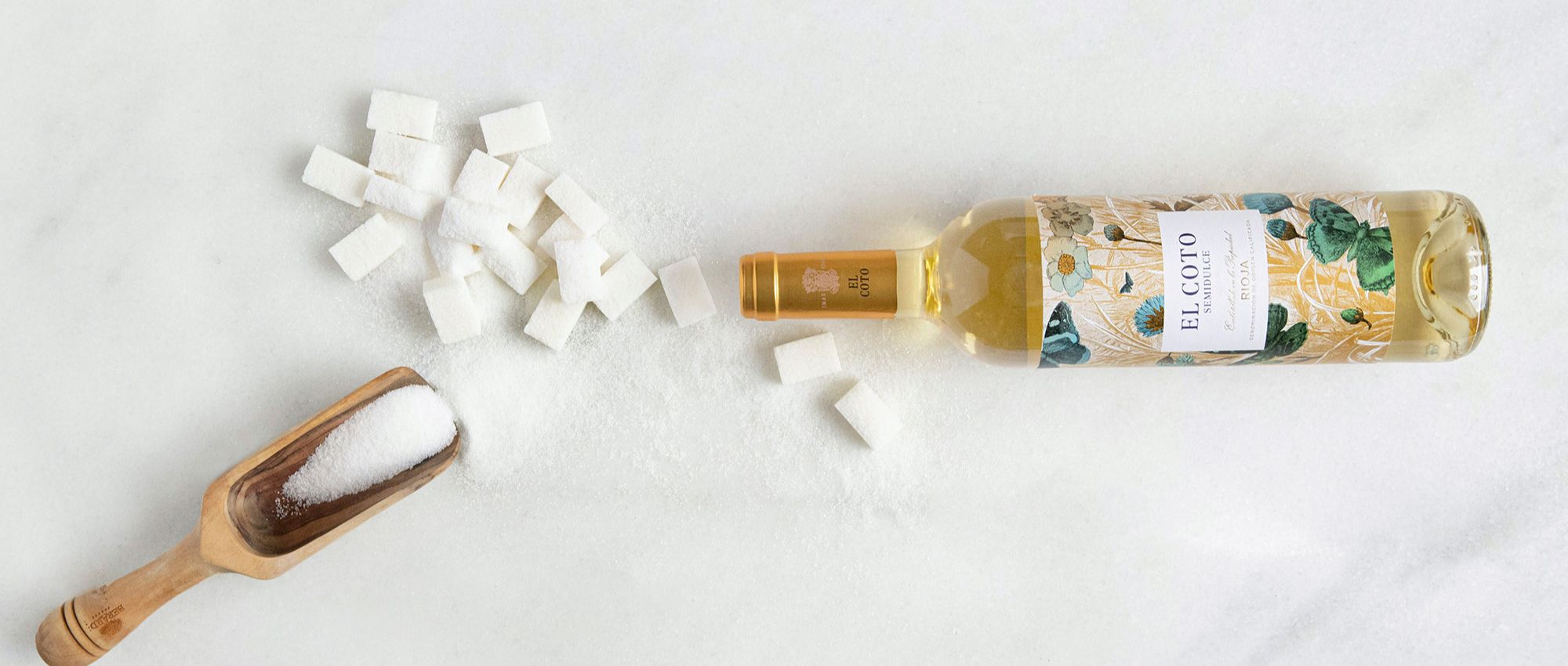 ¿Cuál es el mejor vino para principiantes?